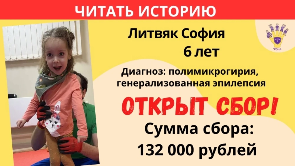 Литвяк София Храбрый Я, Благотворительный Фонд