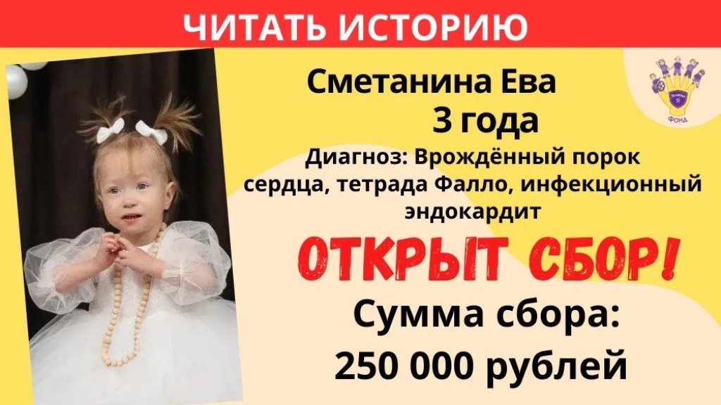 Сметанина Ева Храбрый Я, Благотворительный Фонд