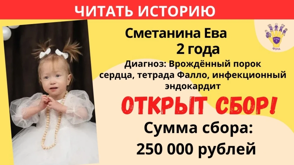 Сметанина Ева Храбрый Я, Благотворительный Фонд