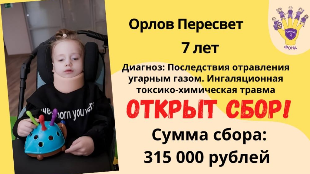 Орлов Пересвет Храбрый Я, Благотворительный Фонд