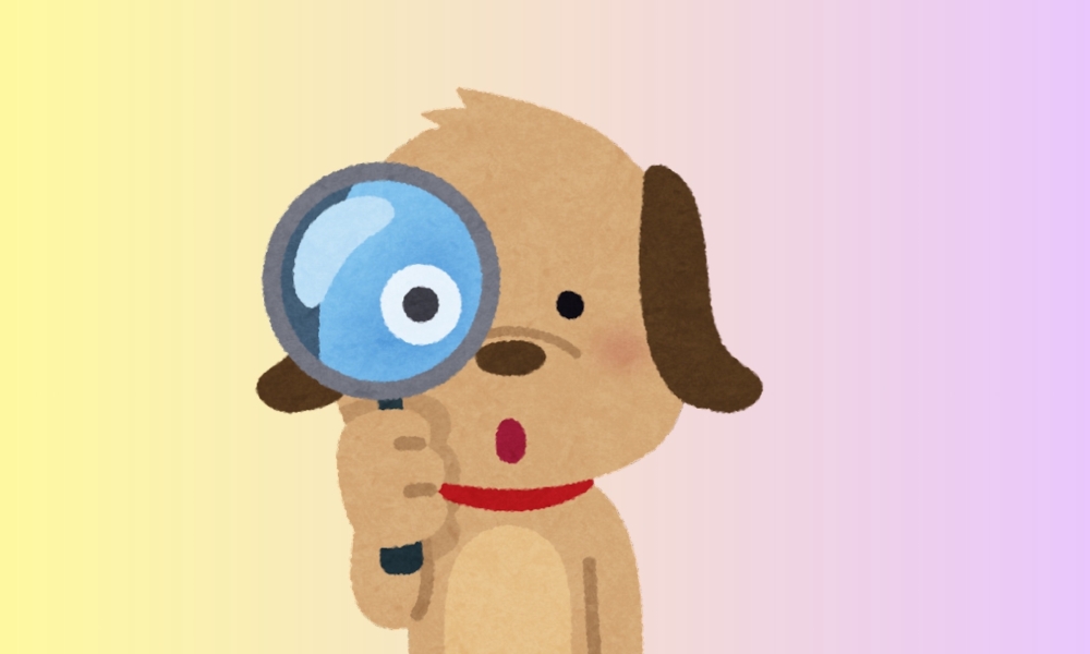 Тук-тук, проверка Храбрый Я, Благотворительный Фонд