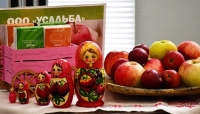 Берегиня начинает свой путь Храбрый Я, Благотворительный Фонд